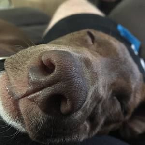 Meet your Posher, Mandy